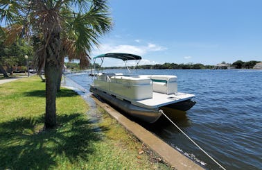 Pontoon great for  Island Hoping, Dolphin watching, Sunsets and more. 10