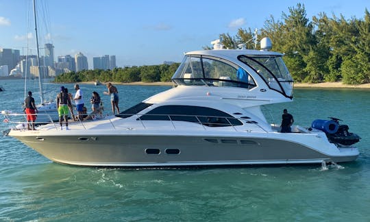 Sea Ray Flybridge 50' Luxury Express Cruiser in Miami