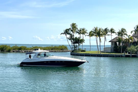 Perfect South Beach Sundancer 53'