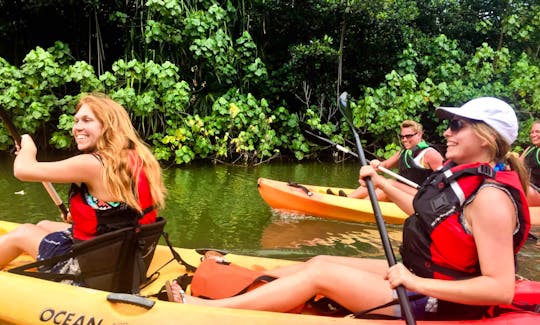 Self-Guided Kahana Rainforest River Kayak Tour