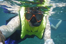 Snorkeling Lessons & Interactive Experience for kids and adults