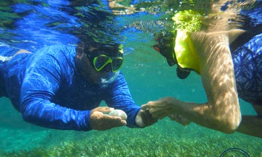 Snorkeling Lessons