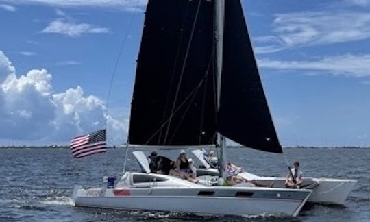 Catamarán Stiletto 30 para observar delfines, puestas de sol y bucear en Destin