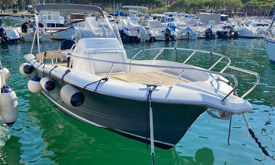 White Shark Center Console for Rent in La Spezia