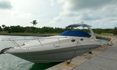 Reserve el hermoso yate a motor Sea Ray en Miami-Haulover- Ft Lauderdale