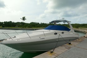 Book the Beautiful Sea Ray Motor Yacht in Miami-Haulover- Ft Lauderdale