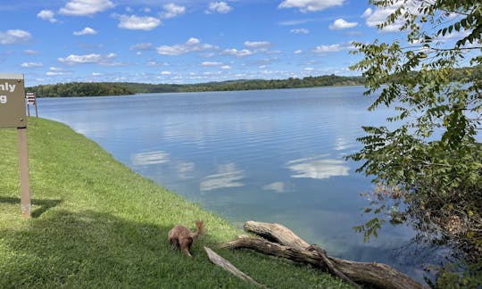 Isle Stand Up Paddleboard para alugar em Sinking Spring, PA