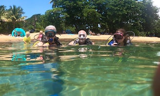 Beginner Diving Course! Discover and Try Scuba Diving - No experience necessary!