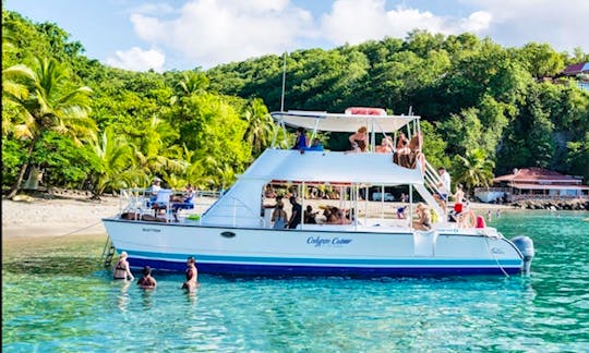 Private Catamaran - Full Day Charter in Sta. Lucia