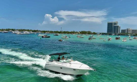 Amazing Larson 32ft Motor Yacht Charter in Miami Florida