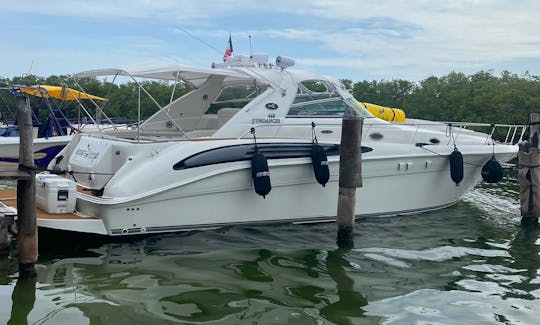 Amazing searay 45 footer A/C best in cancun 