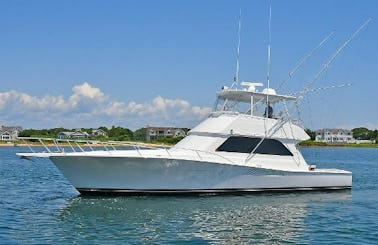 VIKING 50 Convertible Fishing Yacht Charter!