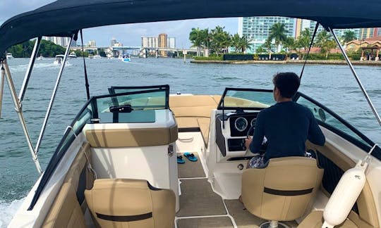 Sea Ray Premier Boat Rentals In Miami