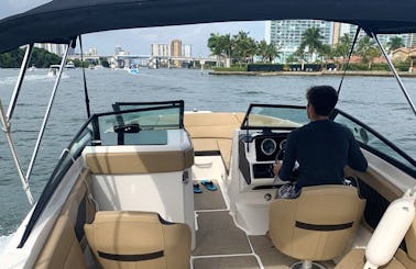 Sea Ray SPX 230 Rentals In Miami Florida