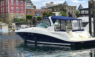 45ft Searay Sundancer with Captain for cruise on Lake Washington, Lake Union and the Puget Sound