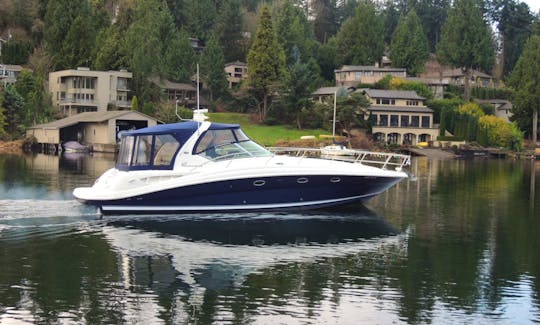 45ft Searay Sundancer with Captain for cruise on Lake Washington, Lake Union and the Puget Sound