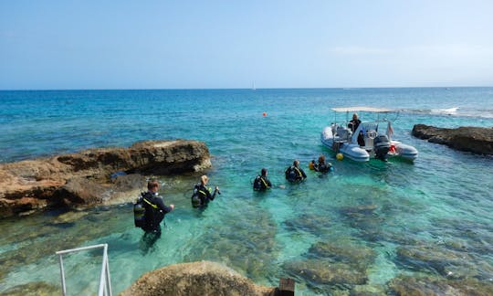 Boat dives with small diver groups. 2 locations every day.