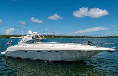 Enjoy Miami aboard a beautiful 50' Sea Ray Sundancer