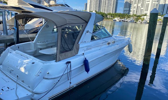 Sea Ray Sundancer 33ft Yacht Charter in Miami
