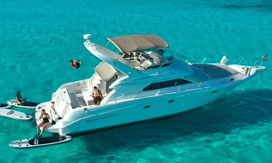 All-inclusive 51' Yacht - Puerto Aventuras - Afternoon Charter
