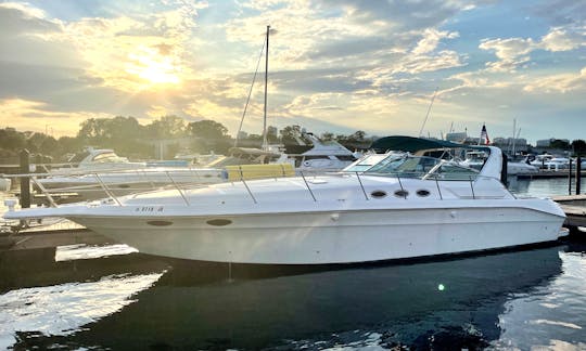 44' Sea Ray Express Luxury Motor Yacht Rental