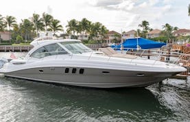 52' Searay - Palm Beach Yacht Rental