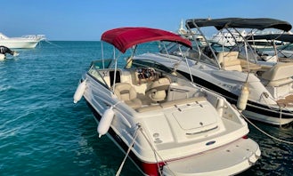 A 21.5' Cuddy Cabin Chaparral boat for daily rent. Boat takes up to 6 guests.