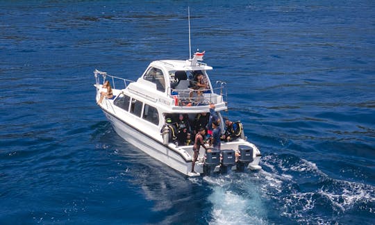 Crucero, esnórquel y buceo con mantarrayas en Bali