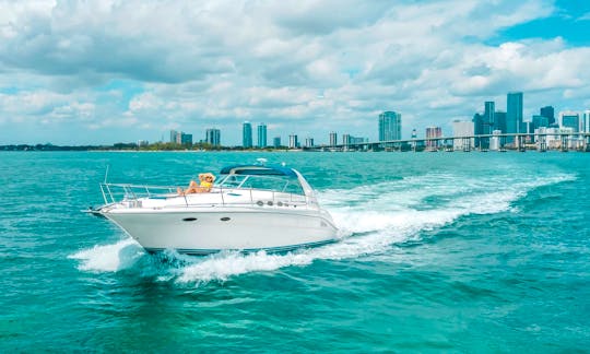 Luxury Sea Ray 40' Cruising In Miami Florida