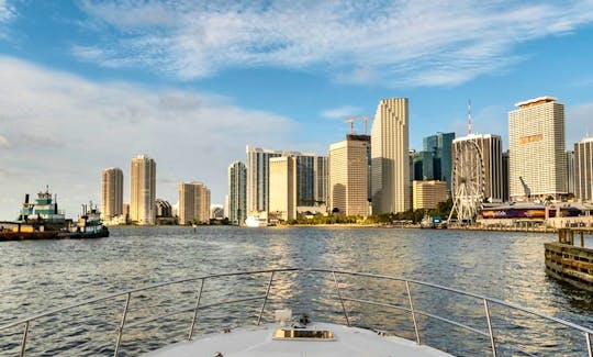 Sea Ray Sundancer 45' Daily Charter in Miami Florida