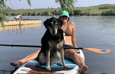 SUP Paddleboard Lake Lanier at West Bank Park Beach! (Pickup or Delivery!) Dog Friendly Paddle Board