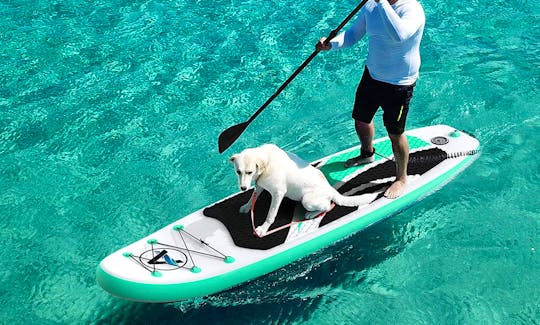 Acworth Beach Lake Allatoona Cauble Park Paddleboarding (Pickup or Delivery!) Dog Friendly Standing Paddle Board SUP