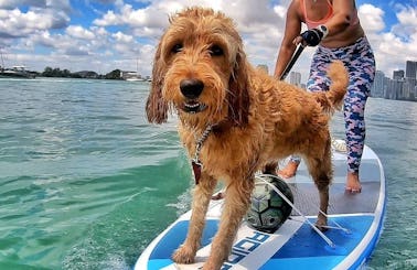 Paddleboard Your Favorite Georgia Lakes (Pickup or Delivery!) Dog Friendly Standing Paddle Board SUP
