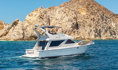 Bayliner 42Ft Motor Yacht Rental in Cabo 👌20people