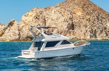 Bayliner 42Ft Motor Yacht Rental in Cabo 👌14 people