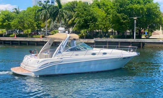 37' SeaRay Sundancer Yacht Charter in Miami
