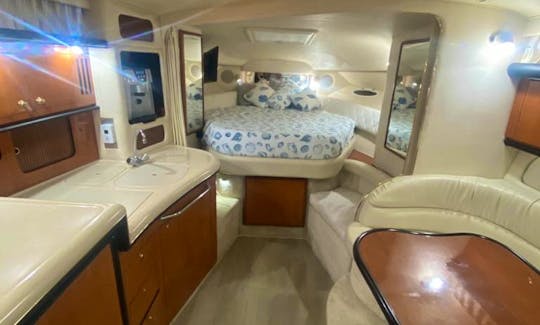 37' SeaRay Sundancer Yacht Charter in Miami