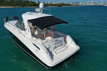 Searay 2020, 35' avec capitaine, plongée en apnée et prise en charge adaptée aux chiens à la marina de Miami Beach