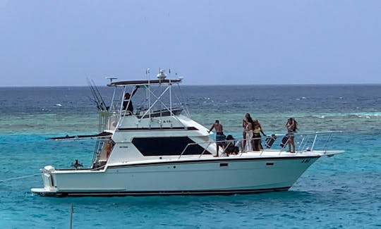 Charter the 42ft Hattras Motor Yacht in Oranjestad, Aruba