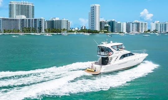 Luxury Flybridge Motor Yacht Charter in Miami Beach