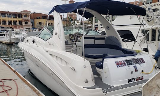 Alquiler de yate a motor Sea Ray Sundancer de 32 pies en Cabo San Lucas, Baja California Sur