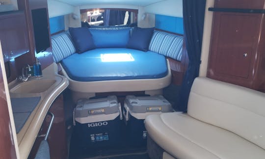 Alquiler de yate a motor Sea Ray Sundancer de 32 pies en Cabo San Lucas, Baja California Sur