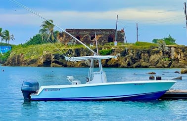 See More! Do More! Private Boat for Old San Juan or Beach Aboard Quality Power Boat.  Up to 6 guests