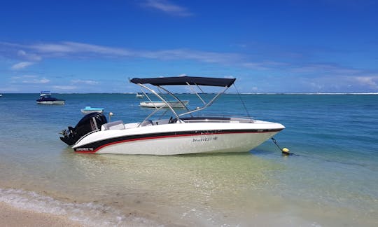 Aventura marítima com golfinhos nas Maurícias