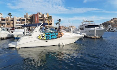 Alquiler de yate a motor Sea Ray Sundancer de 32 pies en Cabo San Lucas, México