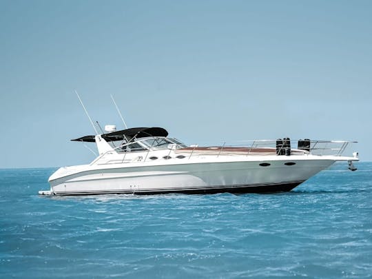 Sea Ray 41 ft Holbox, Mexico