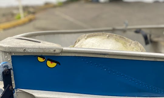Meet Mi-D Aa - 13ft Fishing Boat Gas/Electric Motor or Rowing