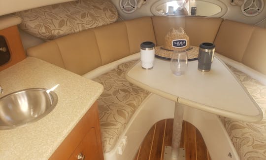 Robalo R245 Twin Engine Power Boat for RENT in Naples, Marco Island, Bonita