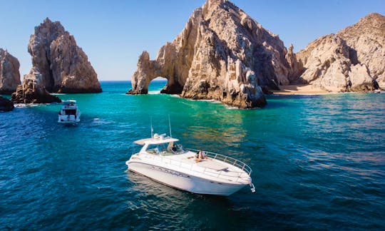 50ft sporty luxury yacht for Charter in Cabo