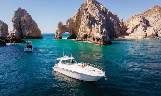 55ft sporty luxury yacht for Charter in Cabo